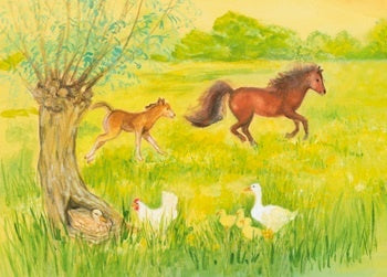 Frisky Foal in the Meadow Postcard