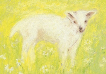 Lamb Postcard