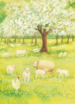 Lambs in the Orchard Postcard