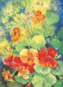 Nasturtium Postcard