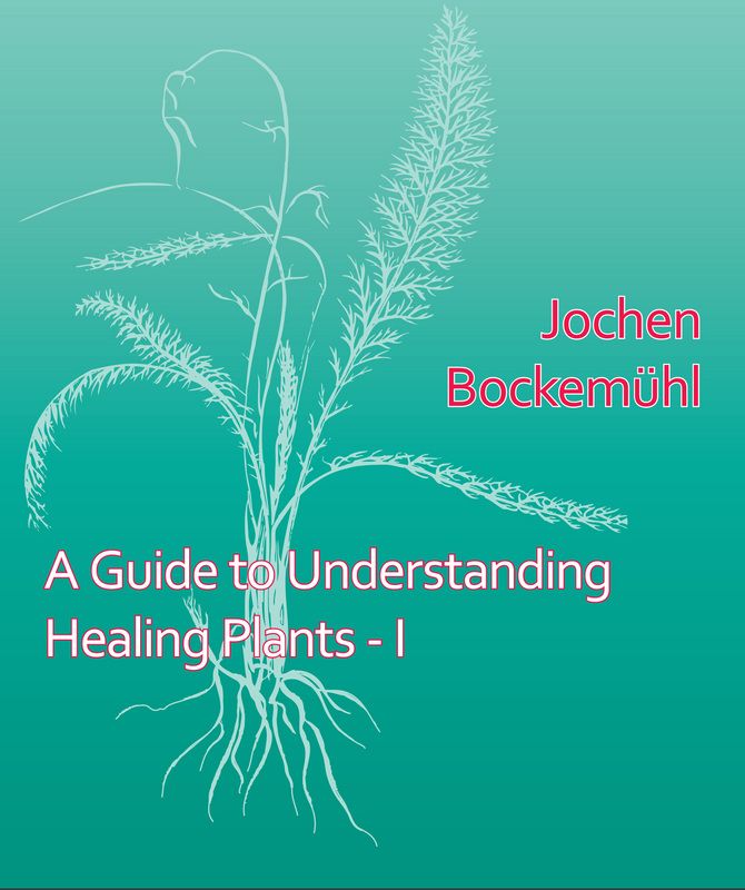 A Guide to Understanding Healing Plants