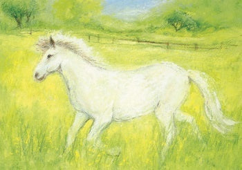 Little White Horse Postcard