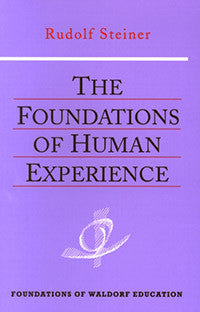 The Foundations of Human Experience (CW 293)